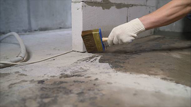 24/7 Emergency Crawl Space Encapsulation experts in Midland, WA